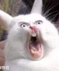 ��Ϸ�����������Ů�������ˣ����