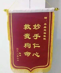 ����ҽԺ�Ľ��춼��ô����