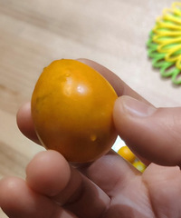 ��Ľ�ۿڸв��������괺��ǰ������͵�