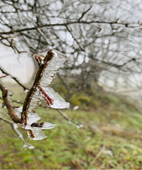 ���޸�ҹ·����Ůɽ������ȴû��ѩ