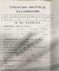 2019年江津区五年级语文卷,你们觉得难度相较主城区如何?