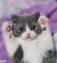 ����ô�Զ������ֿ���ô��