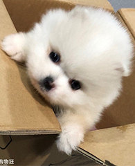 ���ؼҵ�һ������Ҵ�����