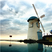 ��������������ָ����