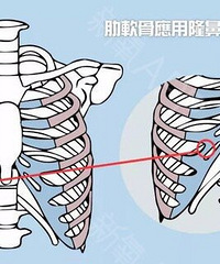贵阳隆鼻医院,取肋软骨来隆鼻会不会对身体造成影响?