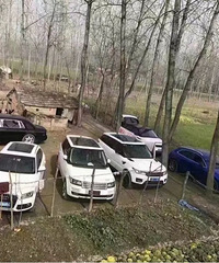 ���Ǵ����һ�ҵ�6��Ů������������