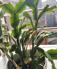 ��̨�ֵ�зצ��������