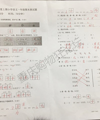 2019Сѧһ꼶ĩԾܣĸ