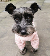 ��ֻ��������3����Ǯ