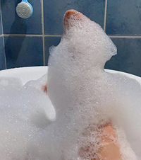 200۵ԡףǽ궬ҸǿĶ