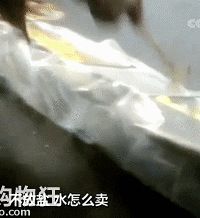 这些高速服务区要宰客