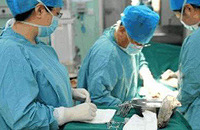 �ʸ�����ֲ��Ĳ����������������