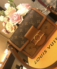 ����������LV��ܽ�ݣ�������ĺõ���������ֻ�ͷ�ʳ�����