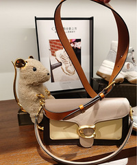 ����Ԥ����COACH����Tabby����ɫ�úÿ���