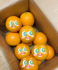 èũһĺϱǳȣͷСζ