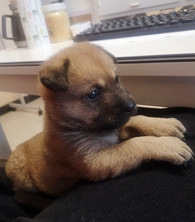 �����ڳ��˰칫�ҵ��ų�