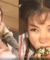 �����е����ս�VS��ʵ�����ս�