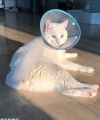 ������è�ܳ�;��Ҫע��ʲô