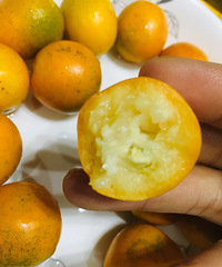 ��һ���򵽳��óԵĽ�ۣ�ˮ�ֶ����û��ζ