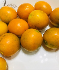 һ򵽳óԵĽۣˮֶûζ