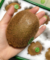 ���걸�õ�����������ر��ʺ����׷�����