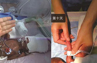 ����6�²��°���ŮӤ������ֻ��600��