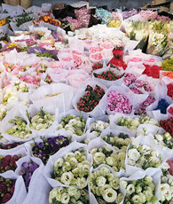 ������ʻ�����໹����