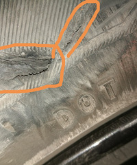 ��������̥�������