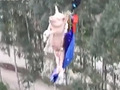 重庆一景区让猪蹦极