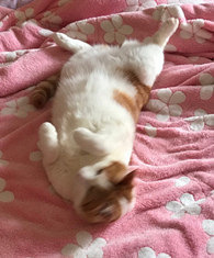 ������è�ѳ�Ϊ����һ��