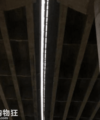 ����ӵ���³������������Ŷ�3��˾�˴��пո����׹�ţ�3����