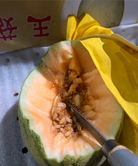 ȥ���˲�԰��ˮ���г������˲�ݮ�۹Ϻ�̩��С����