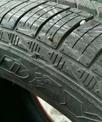 ������Ҫ��̥��