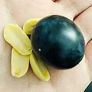 葡萄+花生=巧克力?