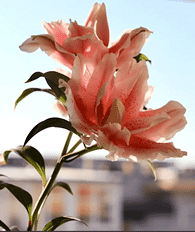 ����3���µİٺϿ�����