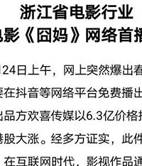 浙江电影行业谴责囧妈网络播出,你咋看