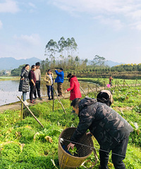 ڼҴùˣȥũ˳ժЩսƷ