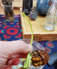 �̼������������ֺ�����