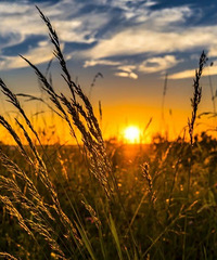 ������һ��Ҫ��������ɳ̲������Ľ�ӡ��һ���ӵķ羰