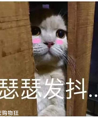 ���ϰ�������ͷ�ӣ�������δ������