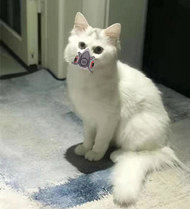 ��ҳ���Ҫ�ǵô�����ѽ