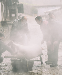 ��ǰȥǭ��ɽ�ϣ�ɱ��������ɱ��������С�����룩