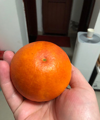 �Ա����Ѫ��9.9���������ֺ��ִ�