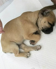 �������죬���յ�ֻ���ڹ�