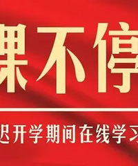 重庆一中制定的在线学习及辅导办法,每天按课表网上学习