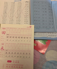 一年级小学生关在家学习仍然充满欢乐,坚持每天摘抄好词好句