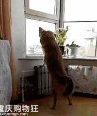 ��������ᵽ���������ˡ���