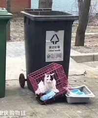 ������֪�������ҽ����è