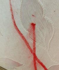 ô죿ǽ޶ʻˣö඼˵ϴ