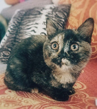 �������ʼ�ڼ��ܿ���